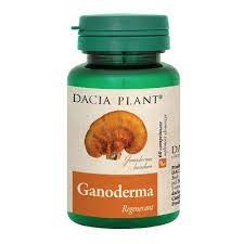 DACIA PLANT GANODERMA CTX60 CPR