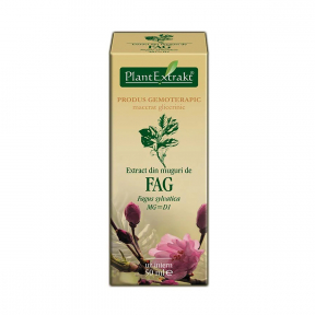 Extract din muguri de fag, 50ml, Plant Extrakt