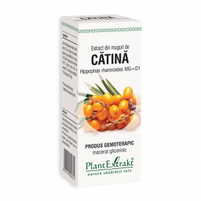 Extract din muguri de Catina, 50ml, Plantextrakt