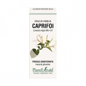 Extract din mladite caprifoi, lonicera nigra MG=D1, 50ml, Plant Extrakt