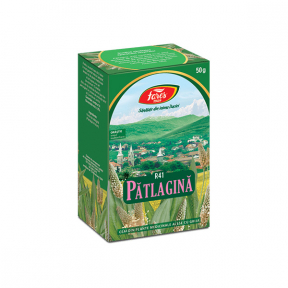 Ceai Patlagina frunze, R41, 50g, Fares