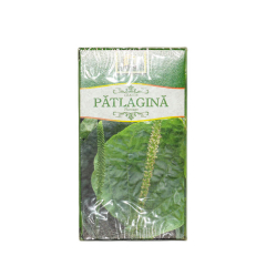 Ceai Patlagina frunze, 20 plicuri, StefMar