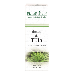 Tinctura de Tuia, 30ml, Plant Extract